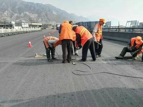 阳日镇道路桥梁病害治理